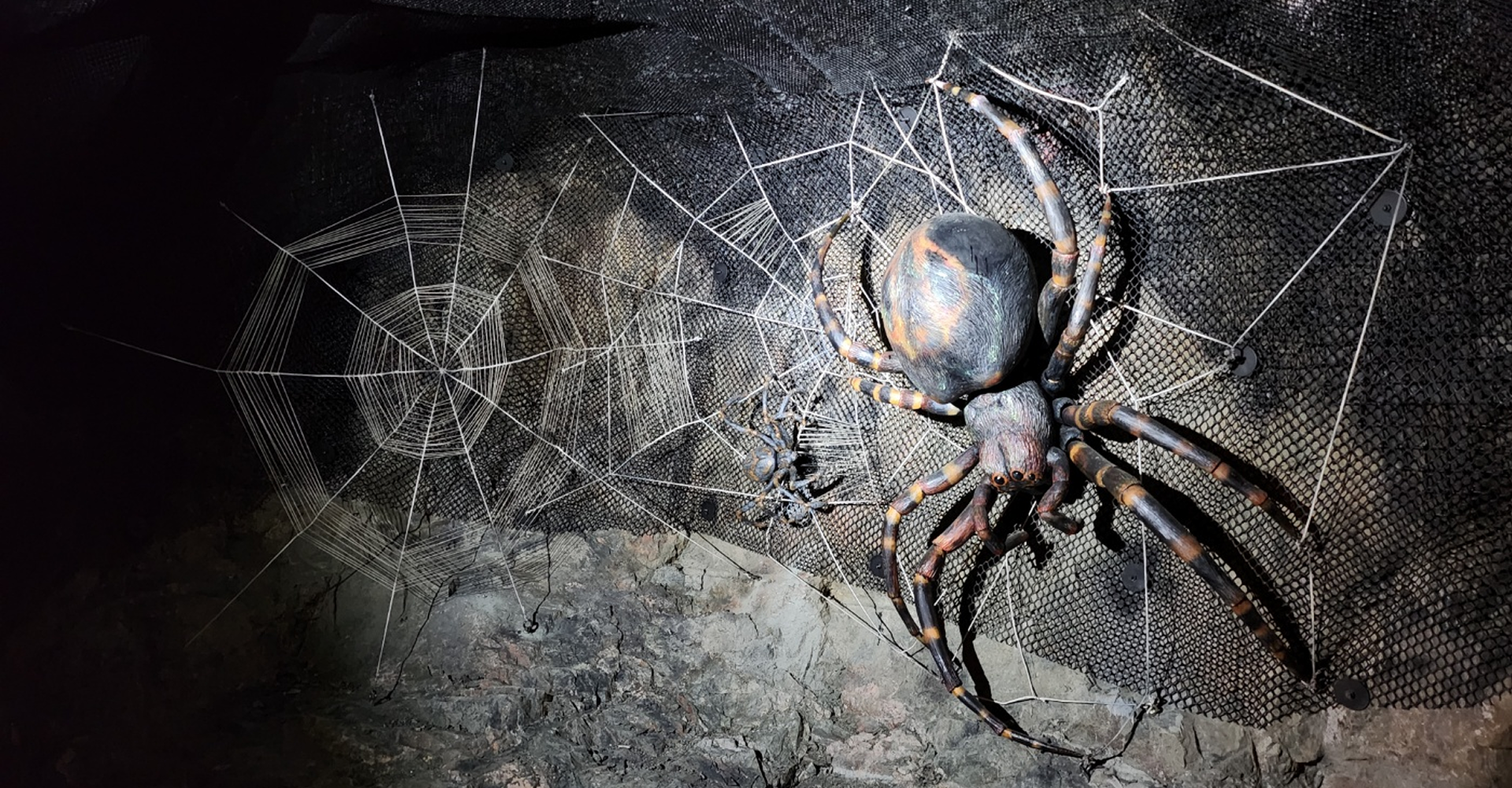 옥천군 장령산자연휴양림 숲속 동굴